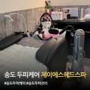 송도 두피케어 제이에스헤드스파 관리후기