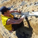 보라리농장 이미지