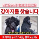 까미