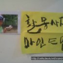 문화목장 이미지