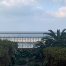 니도내도 이미지