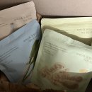 파머손 | 동결건조 야채 국산 파머스톡, 요리 귀찮을 때 ‘톡’ 넣는 꿀템 솔직후기