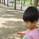 산새들어린이집 이미지