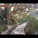 [보충설명] 3/20-22 남쪽지방 여행 이미지