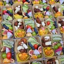 양양 태권도장 이미지