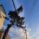 감포3리 이미지