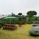 한동향기