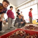 강진읍 시장 이미지