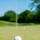 위너스빌(315) 이미지