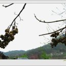 자연염색박물관 이미지