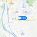 의성반점 이미지