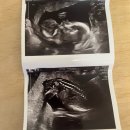 한림정밀 이미지