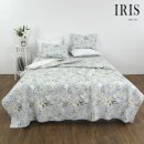 아이리스 이미지