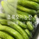 초록농장 | 충북 진천 초록오이농장 오이 박스 방문구매 내돈내산 후기
