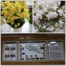 상록지역아동센터 이미지