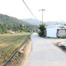 시전리 마을회관 이미지