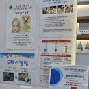 소성로 | 인천두피스케일링 잘하는 곳✨ [염색앤두피 인하대점] 헤어라인 생장술 후기
