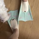 (주)썬라이즈소프트 | [🐬 수초딩 일기] 수영장 고인물의 수영 일상 (원정수영, 나이키 글로라이즈 성공, 나이키 비포 시리즈)