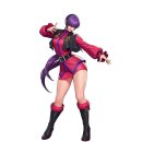 포커스 온 펫 이미지