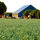 평원농장 이미지