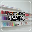 신라동물병원 | 울산 삼산 야간 네일샵 유지력 좋은 네일하이
