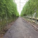 정이농장 이미지