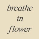 인플라워 이미지