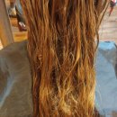 도리스헤어 이미지