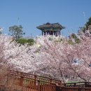 해상공원 대종 아래 이미지