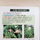 산야뜰솔향고향떡집 이미지
