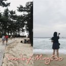 경포빅토리아파크 이미지