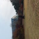 25-11/24-월 떡라면-아침밥 서울대학교-산책 새마을식당-점심 원비뇨기과의원-진료 이미지