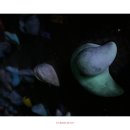 수원-0725 이미지