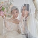 희재가 Daum카페