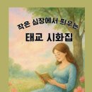 매봉산3길 이미지