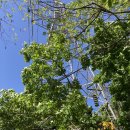 덕산 약수터 이미지