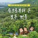 수락 뉴스1