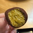 콩이랑 초이랑 이미지