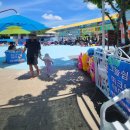 성지연꽃길 | 전라남도 여행 무안 가볼만한 곳 무안연꽃축제 회산백련지