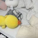 위드미 미사타운점 | 3월끗