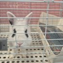 엔젤아쿠아펫가든 이미지