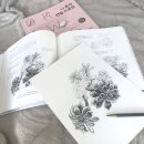 연필 드로잉 이미지