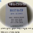 용농장 이미지