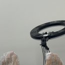 율동세천 | 11월 첫번째