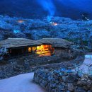 청매실농원 이미지