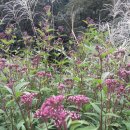 등골농장 이미지