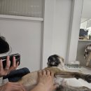 토리 - 영등포구 영중로 40 | 토리