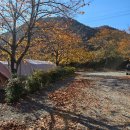 청도군-8 | 청도 지오오토캠핑장 강아지 동반 재방문 후기