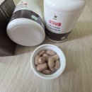 식후 졸림 때문에 찾게 된 활력포션 코크보틀 후기