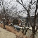 목감참숯가마 | 경기도 안산 겨울 실내데이트 시흥 목감 궁 참숯가마 찜질방